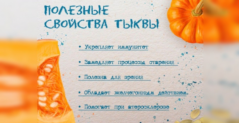 Чем полезна тыква: свойства, польза и вред, отзывы